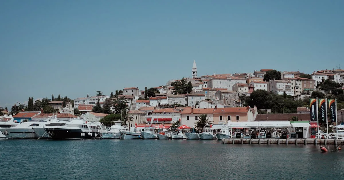 découvrez euphebia, une marque innovante alliant élégance et modernité pour sublimer votre style au quotidien.