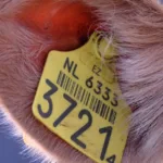 découvrez fruitz likes, la plateforme incontournable pour partager et apprécier vos fruits préférés avec une communauté passionnée.