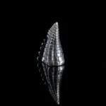 découvrez tout ce qu'il faut savoir sur les spoilers : définitions, exemples, conseils pour les éviter et leur impact sur votre expérience de lecture ou de visionnage.