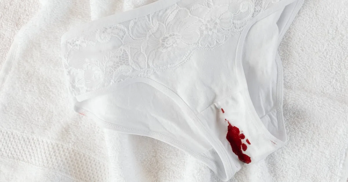 découvrez la vie privée de nathalie cerda, ses passions, son parcours personnel et les aspects méconnus de son quotidien.