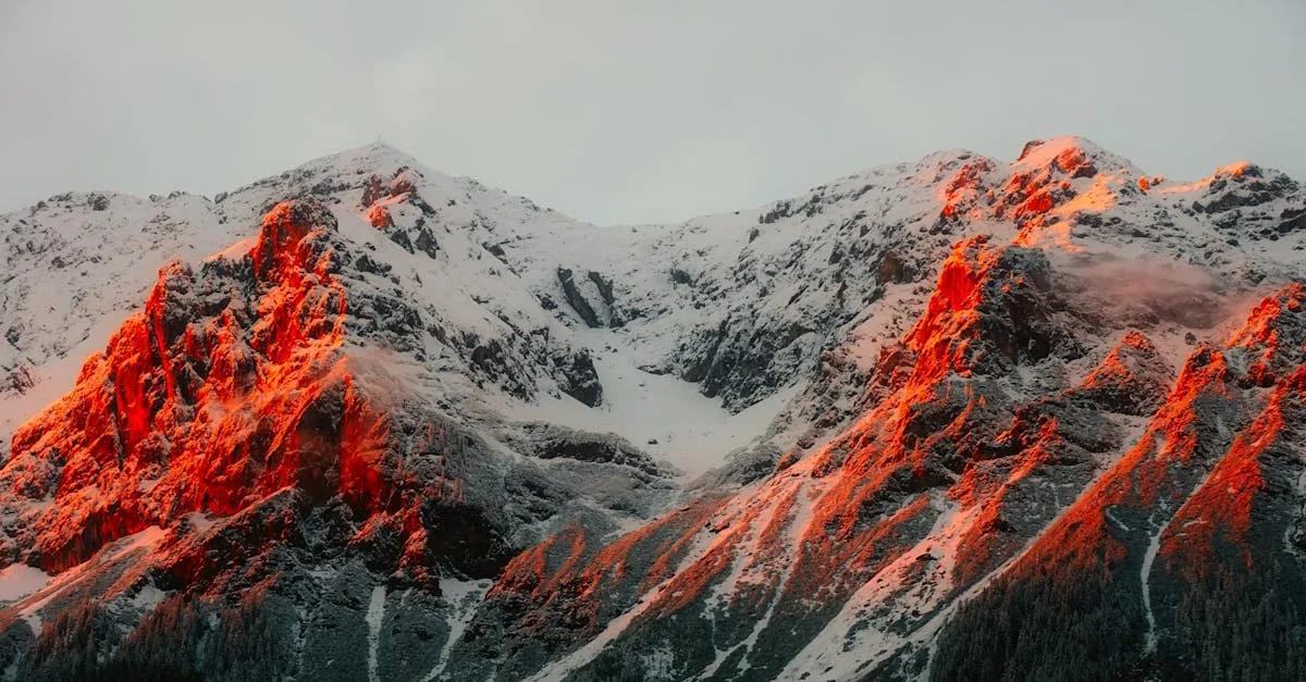 découvrez les prédictions de nostradamus pour l'année 2026 et explorez ses prophéties mystérieuses qui pourraient influencer le futur.