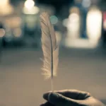 webfeather : votre solution légère et performante pour développer des sites web modernes et rapides.