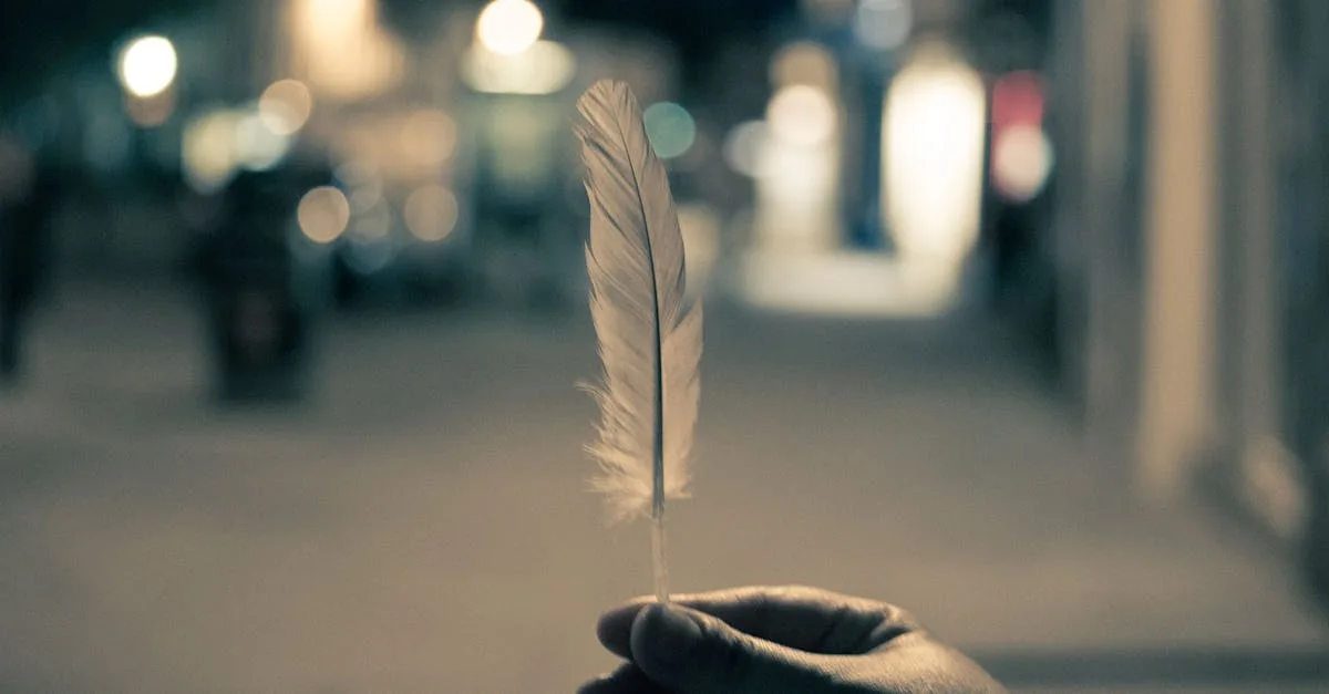 webfeather : votre solution légère et performante pour développer des sites web modernes et rapides.
